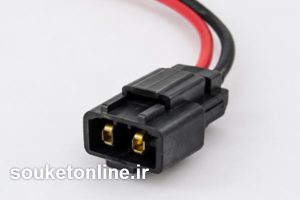 خرید سوکت ۲ شاخ چراغ پرشیایی